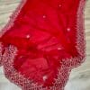 RED FENDI SAREE
